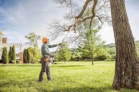 Best Lawn Drainage Solutions  in Tiburon, CA
